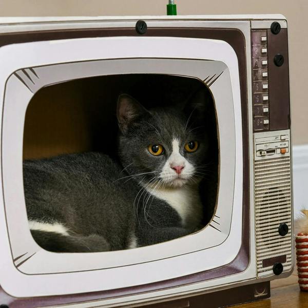 TV-shaped cat scratching board with cat inside the front TV-style window