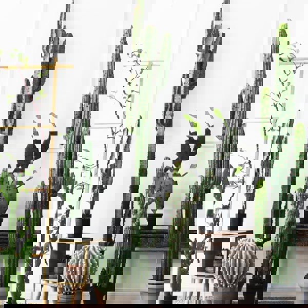 TU18 Artificial Plant-Weilai Concept-Weilai Concept