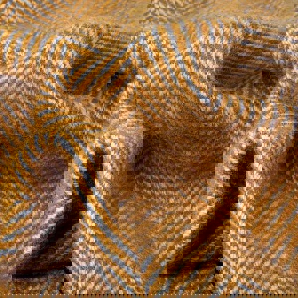 Evening Tales - Pure New Wool Blanket - Traditional Herringbone - Toffee - Heating & Plumbing London - Throw