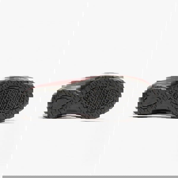 1666879562-47310000.jpg