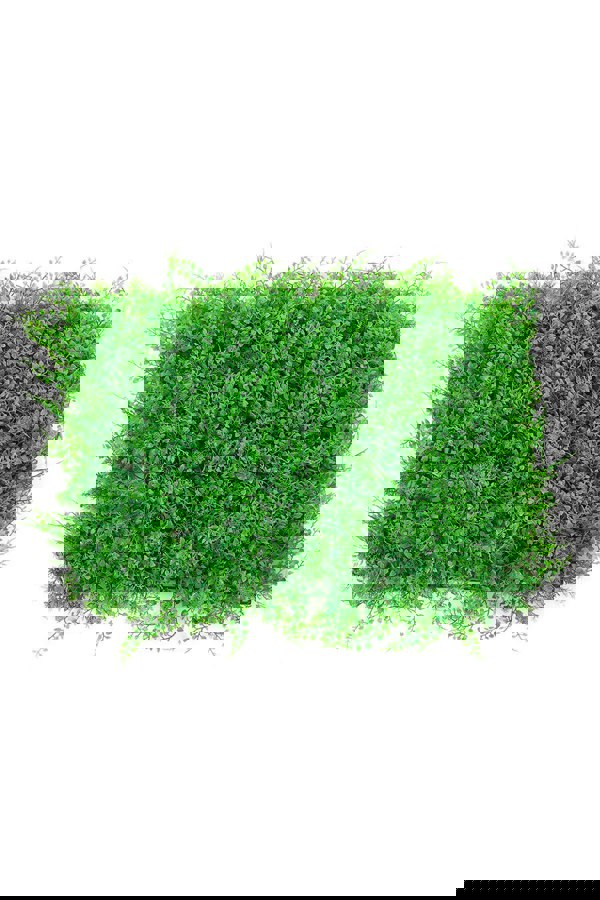 Living and Home Artificial Plants Green Grass Floor/Wall 40*60*10cm