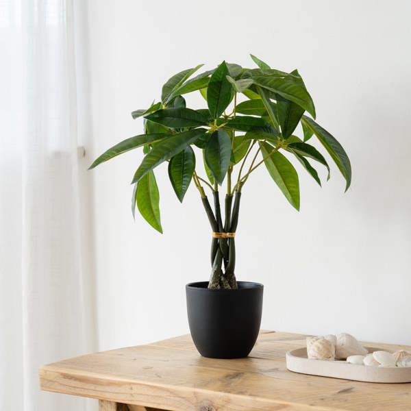 Scottish Everlastings 45cm Real Touch Fortune Tree