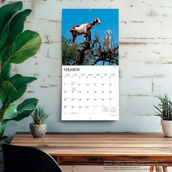 Goats In Trees Calendar 2027, Wall Calendars, Month To View, Animals, Gift