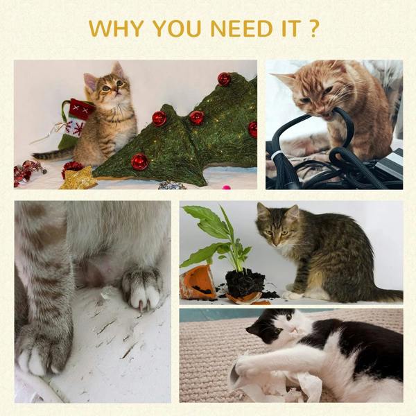 Cat activity tower in use shown by cats climbing, perching, and playing