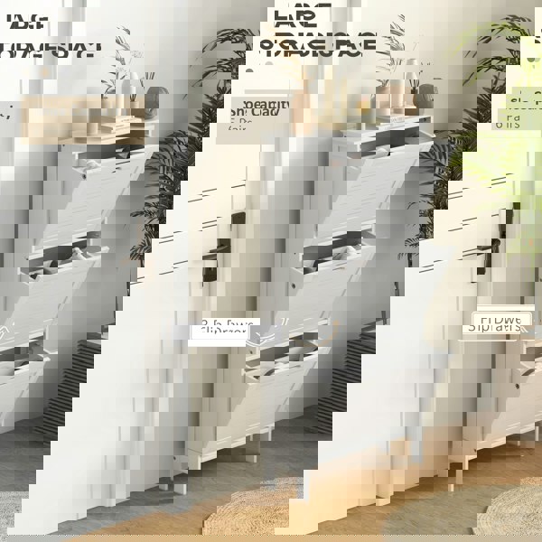 Flip-down Shoe Cabinet