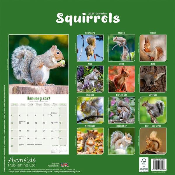 Squirrels Calendar 2027, Wall Calendars, Month To View, Animals, Gift