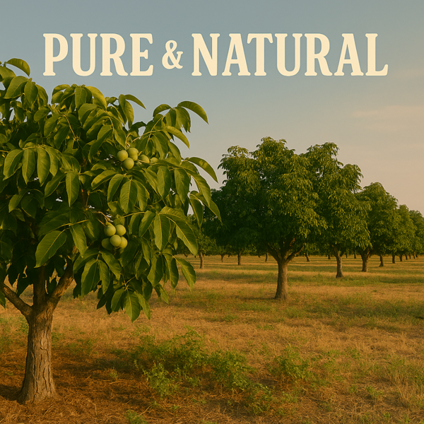 Ol'Vita Walnut Oil | Cold Pressed | Unrefined