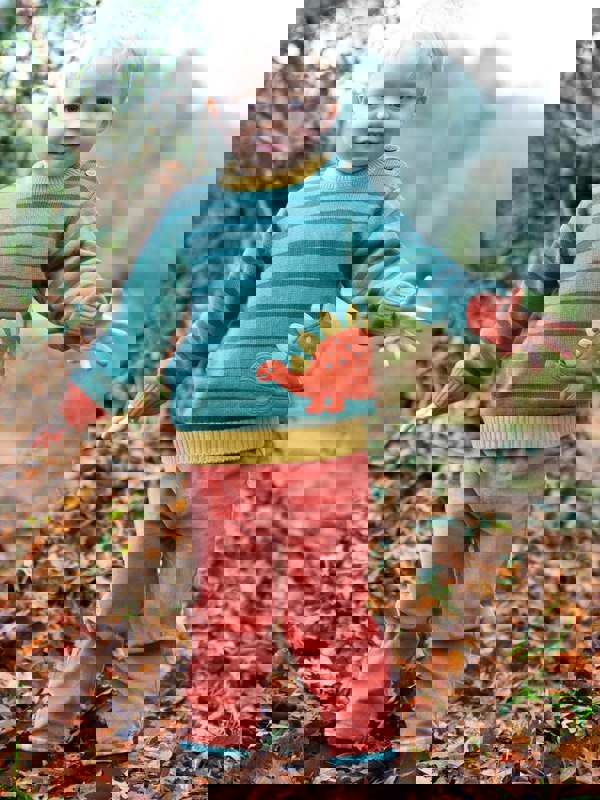 Kite Boys Organic Dinky Dino Jumper