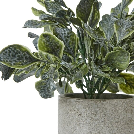 Wyld Haus Small Artificial Giana Eucalyptus Plant In Grey Ceramic Pot
