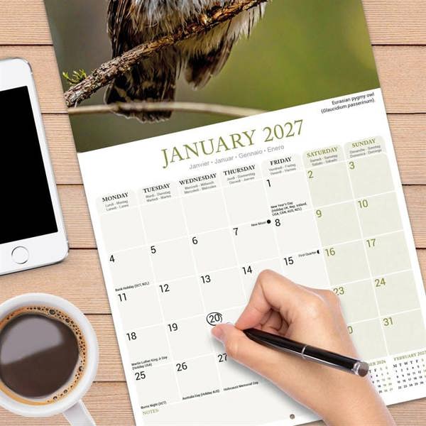 Owls Calendar 2027, Wall Calendars, Month To View, Animals, Gift