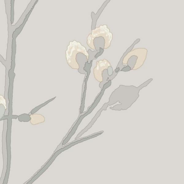 Laura Ashley Pussy Willow Wallpaper - Dove Grey - 10m