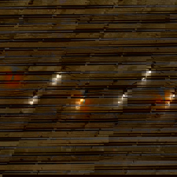 Samuel Alexander Set of 20 Indoor Outdoor Connectable Vintage Festoon Lights with Warm White LEDs