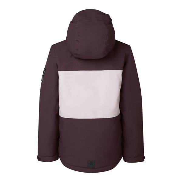 Dare 2B Childrens/Kids Send It II Ski Jacket - Huckleberry - 