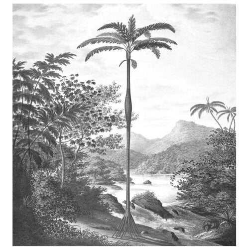 Love Frankie Monochrome Palm Jungle Wall Hanging