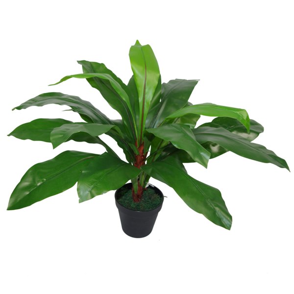 Leaf 60cm Bushy Large Artificial Bird's Nest Fern Plant