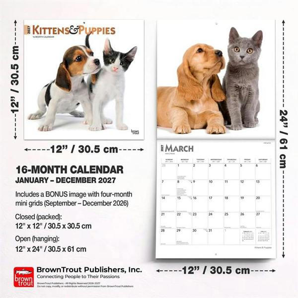 Kittens & Puppies Calendar 2027, Wall Calendars, Month To View, Cats, Gift