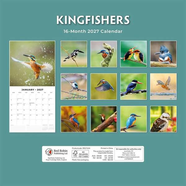 Kingfishers Calendar 2027, Wall Calendars, Month To View, Animals, Gift