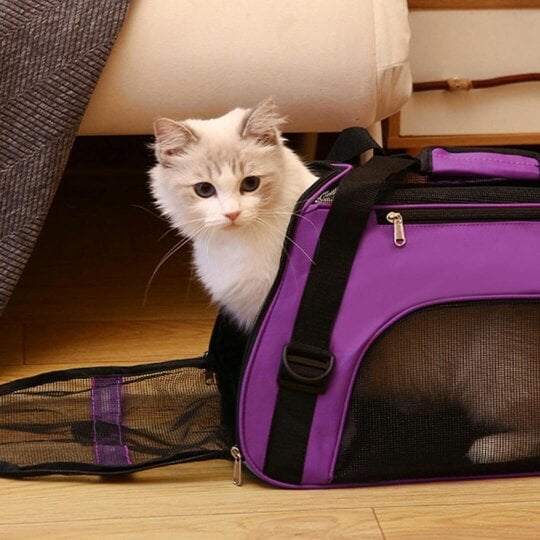 Havendro CAT CARRIER BAG AVC PORTABLE SOFT FABRIC FOLDING DOG PUPPY LARGE PET TRAVEL
