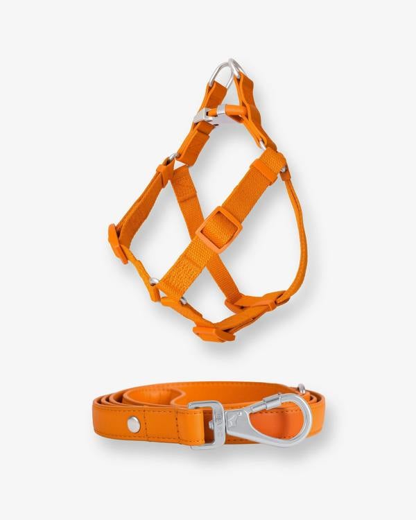 Barc London Mandarin Orange Dog Harness & Lead Set