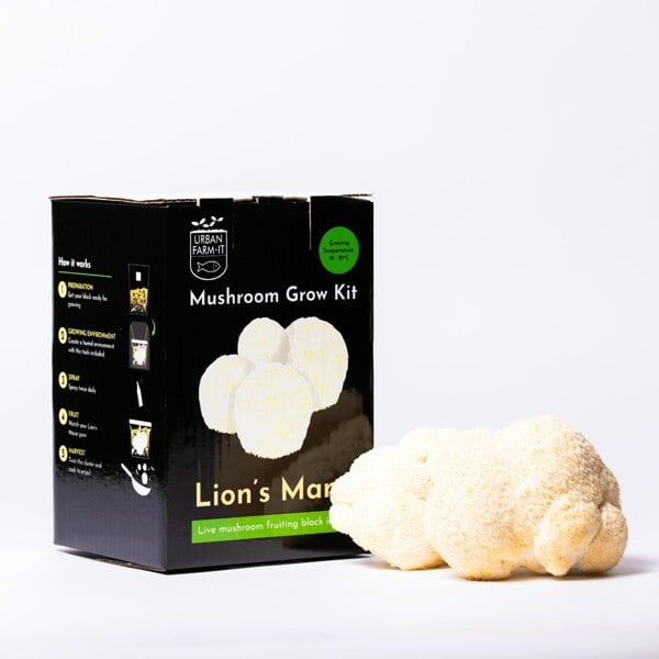 Urban Farm-It Lion's Mane Mushroom Growing Kit