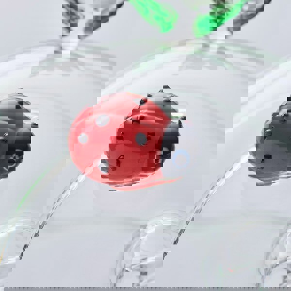 10cm Glass Globe - Wildlife Collection - Ladybird