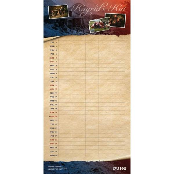 Harry Potter Family Organiser 2027, Family Planners, Month To View, Entertainment, Gift