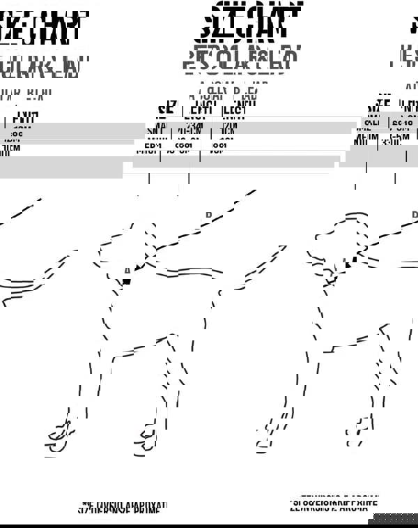 Disney Unisex Blue Minnie Mouse Bowl , Collar , Charm and Lead Gift Set