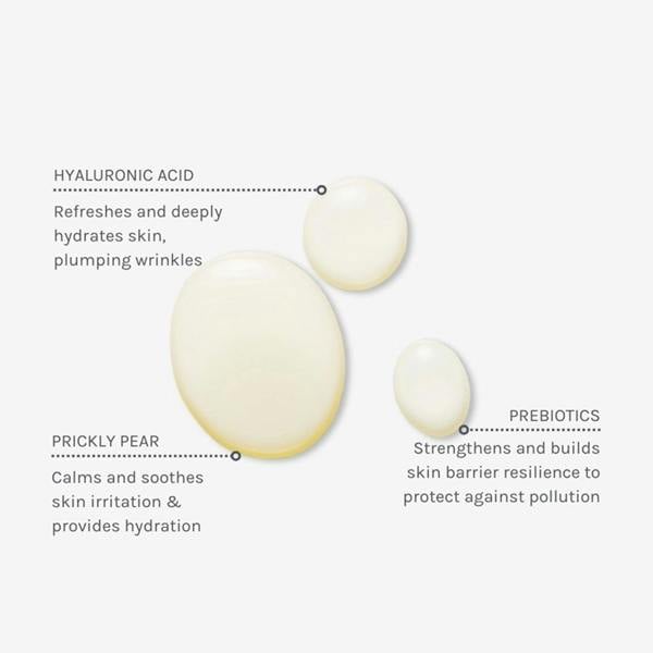 Evolve Beauty Daily Defense Moisture Mist