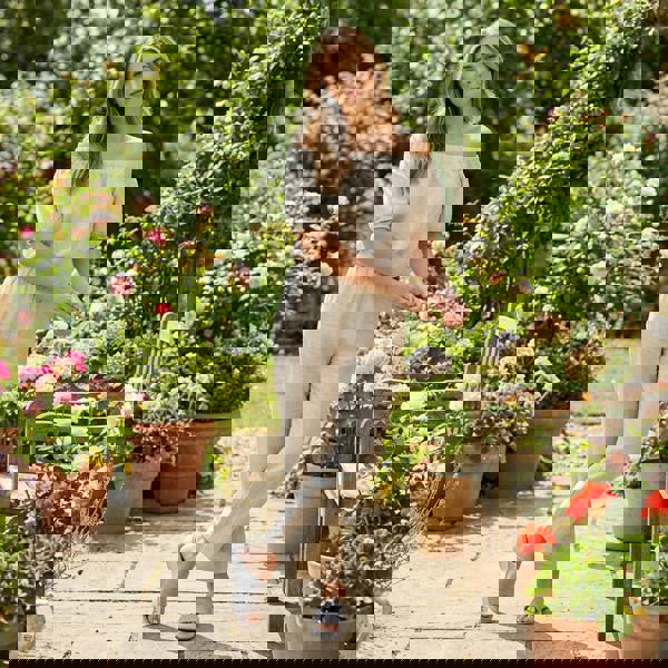 Cipriata Cipriata ELIANA Womens Mules Sandals Grey