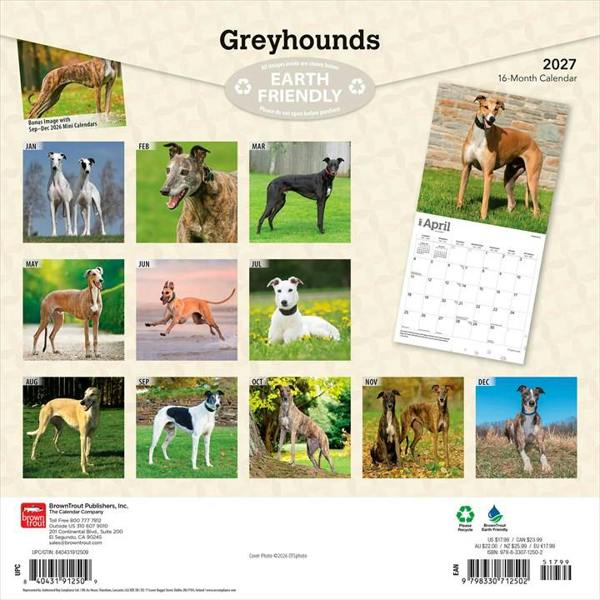 Greyhounds Calendar 2027, Wall Calendars, Month To View, Dogs, Gift