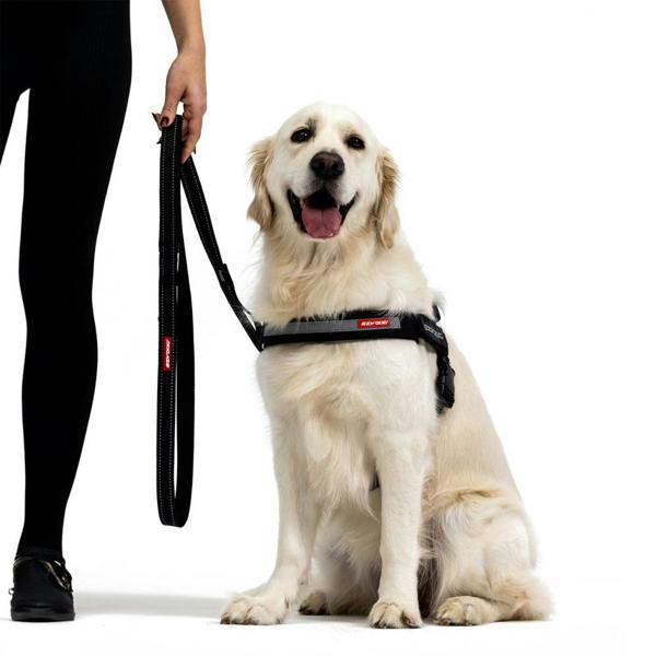 EzyDog Soft Trainer Dog Lead