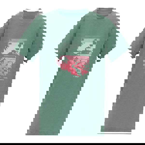 Regatta Childrens/Kids Bosley Artwork T-Shirt - Ivy Moss