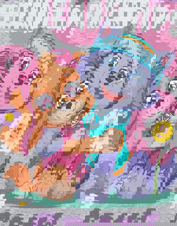 Paw Patrol Unisex Kids Grey Pawsome Friendships Short Sleeved T-Shirt