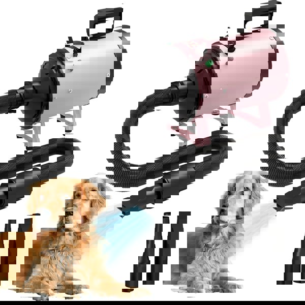 D01-055V70PK