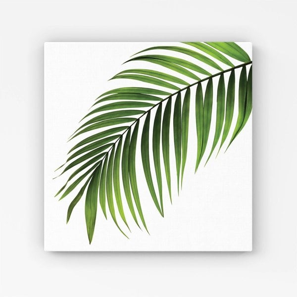 Warren Reed Single Palm Leaf Canvas