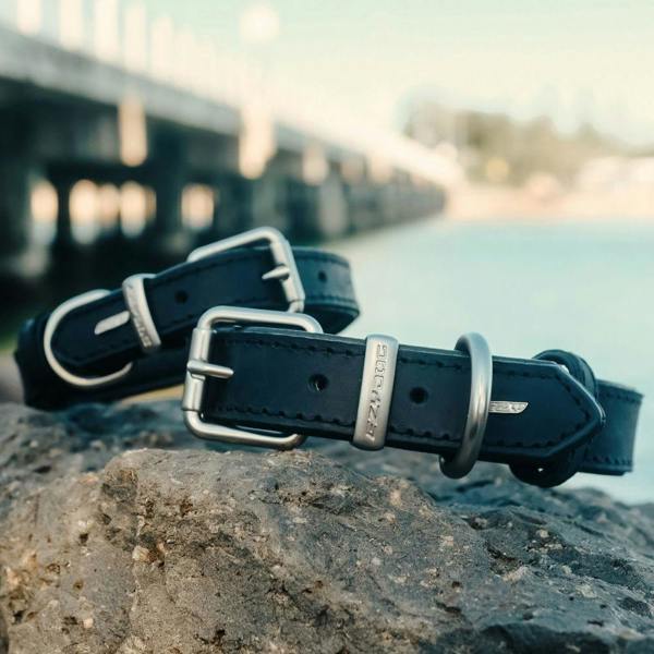 EzyDog Oxford Leather Classic Dog Collar in Black