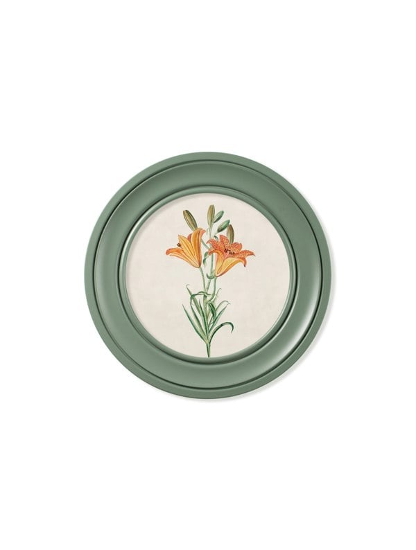 Exceptional Art c.1780 Flowering Plants Round Frame Green