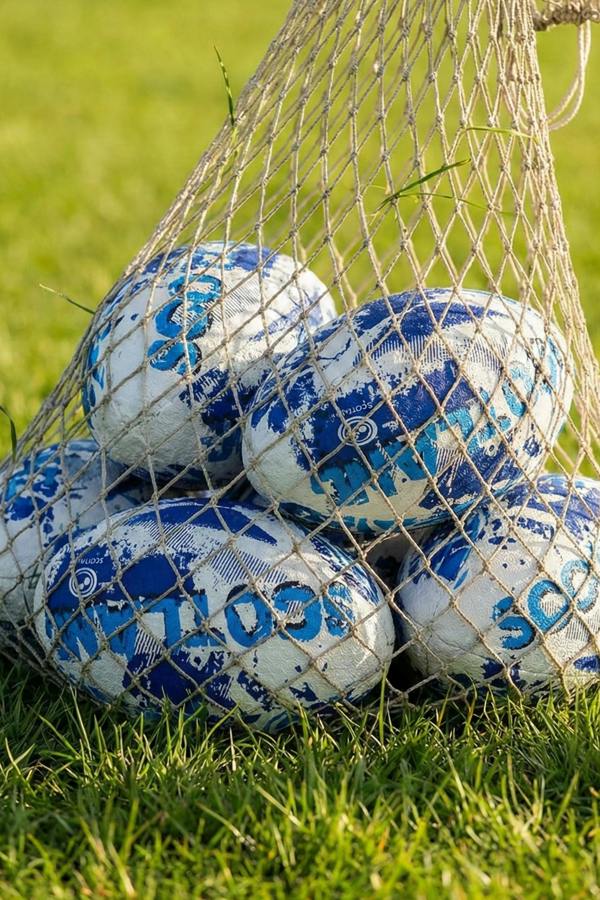 White and blue Optimum Scotland rugby balls in a net bag, resting on grass in sunlight - Optimum