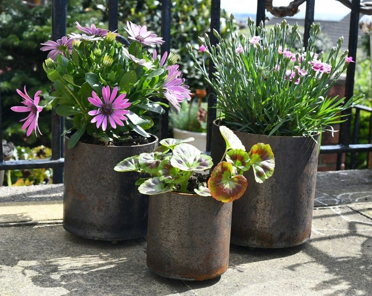rusty plant pots