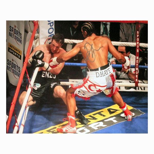 David Haye signed 16x12 photo vs Maccarinelli — Premium framing