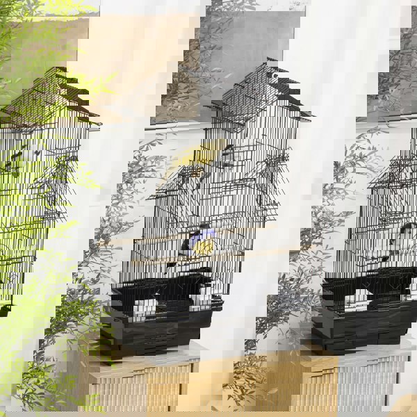 D10-062V01BK