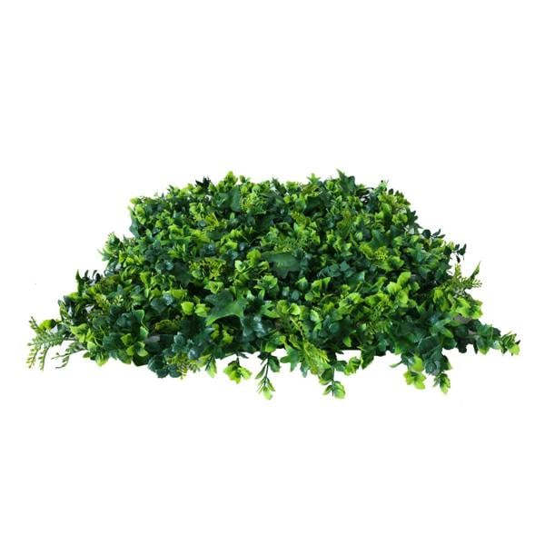 Premium Artificial Green Wall Panel 50cm x 50cm - Ivy - Evergreenery