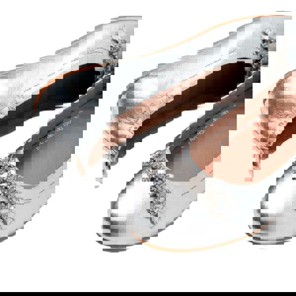 Fit Flop Womens/Ladies Allegro Sparkle Ballerina Flats - Silver - 