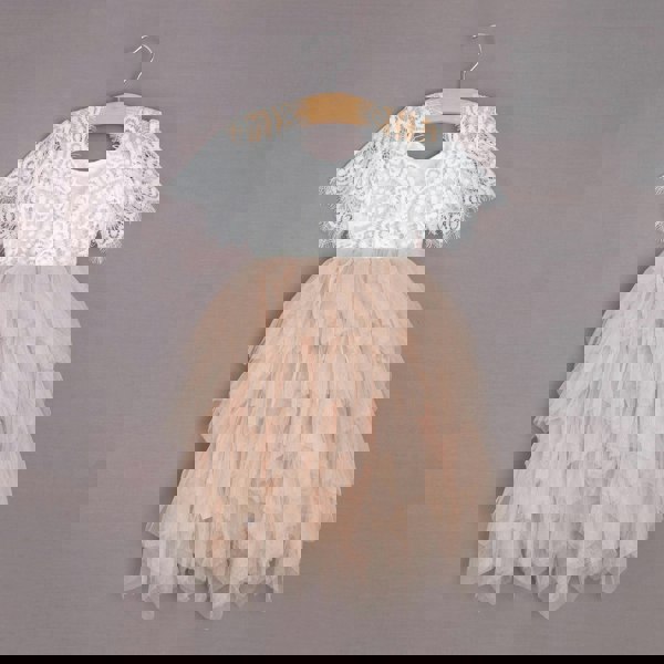 Baby Princess Flutter Dress