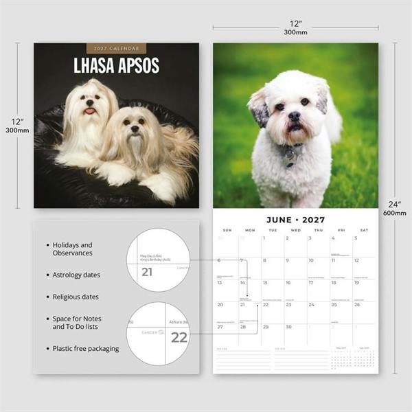Lhasa Apsos Calendar 2027, Wall Calendars, Month To View, Dogs, Gift