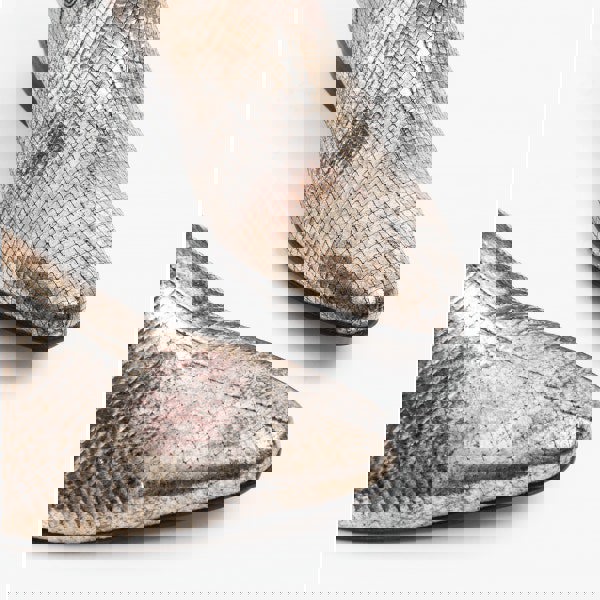 1648818476-91669800.png