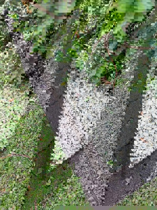 FlexiBorder Outside Corner Box of 2 Brown