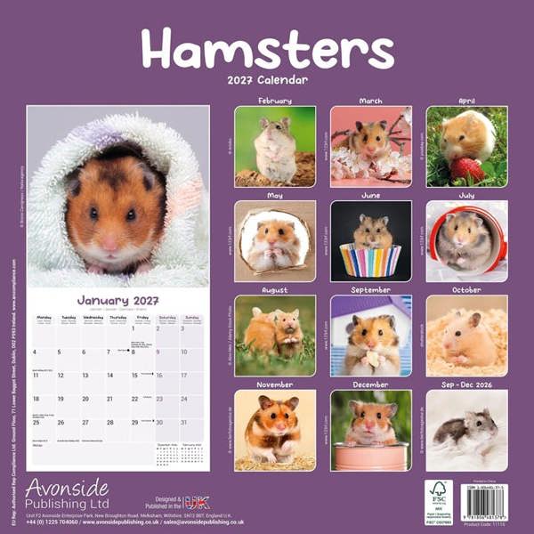 Hamsters Calendar 2027, Wall Calendars, Month To View, Animals, Gift