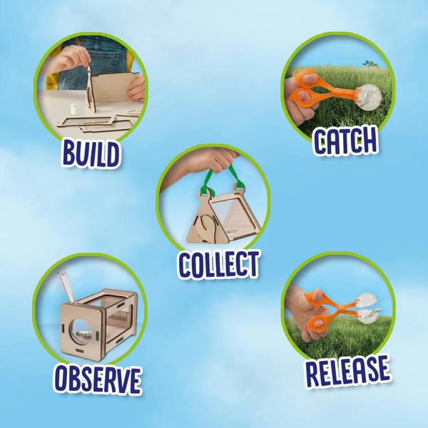SES Creative Insect observation