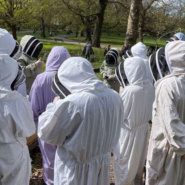 Virgin Experience Days Hiver's Beekeeping Taster with Honey Tasting for Two